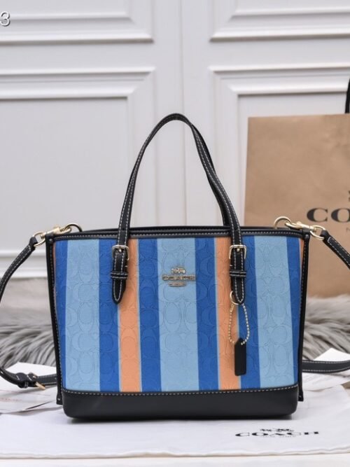 Coach Gallery Tote ou modèle similaire édition spéciale à rayures