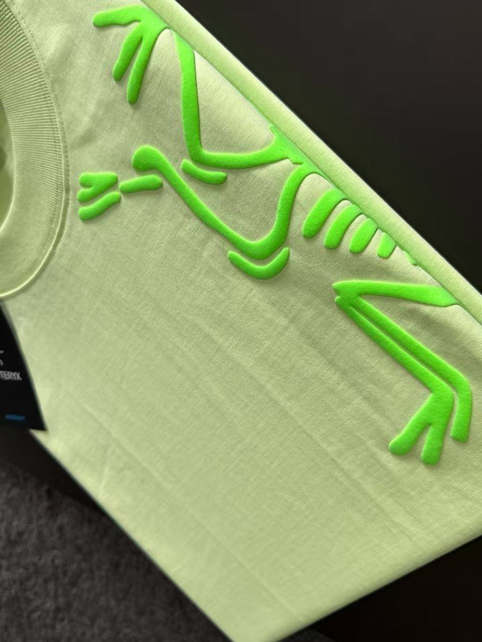 T-shirt Arc’teryx Archaeopteryx S/S